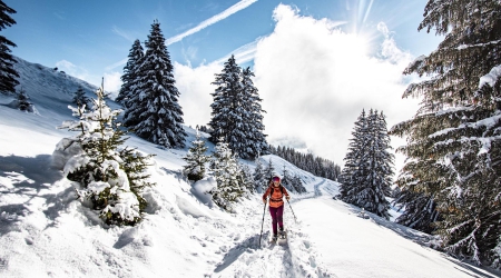 Op skisafari langs 12 bergplaatsen